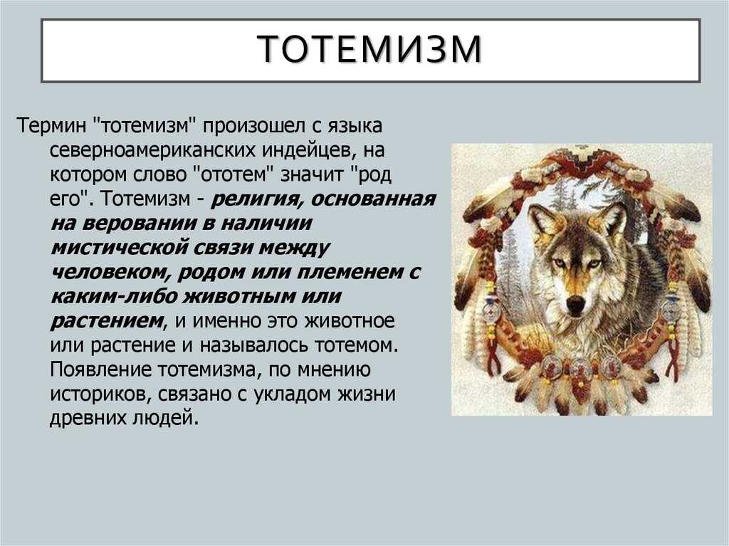 К чему женщине или мужчине может сниться мертвая кошка, как сонники толкуют сны, в которых умер кот?