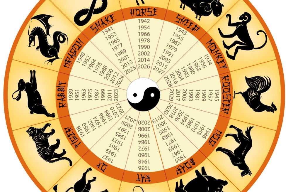 Китайский календарь - земные ветви - небесные стволы - фэн шуй для начинающих - собственник