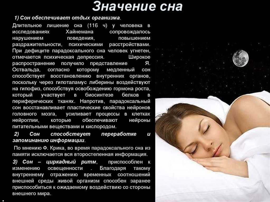 К чему снится собака.значение собаки во сне. что говорит сонник. (wolcha.ru)