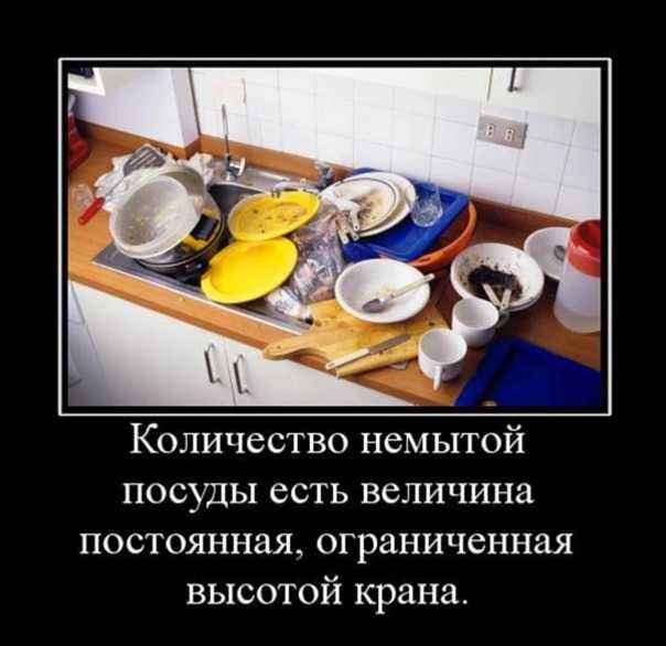 Хочешь мыть посуду мой