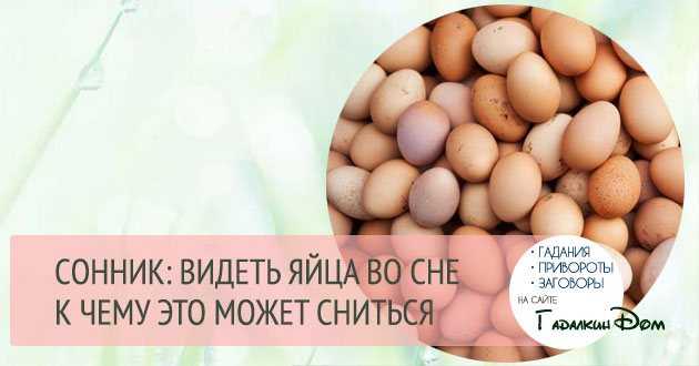 Яичница, приготовленная из домашних продуктов не оставит равнодушным ни одного гурмана К чему снится собирать яйца, узнаем в проверенных сонниках Общее