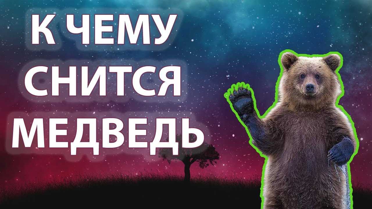 Убегать от медведей во сне что значит? толкование снов :: syl.ru