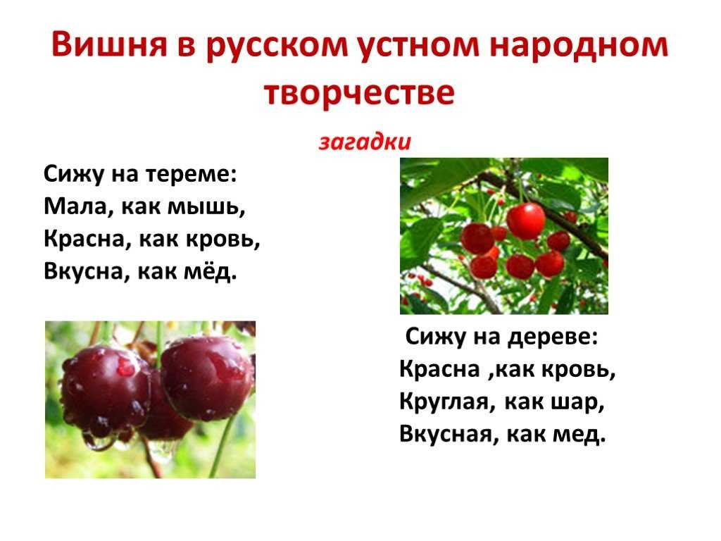 К чему снятся красные ягоды - трактование для женщины