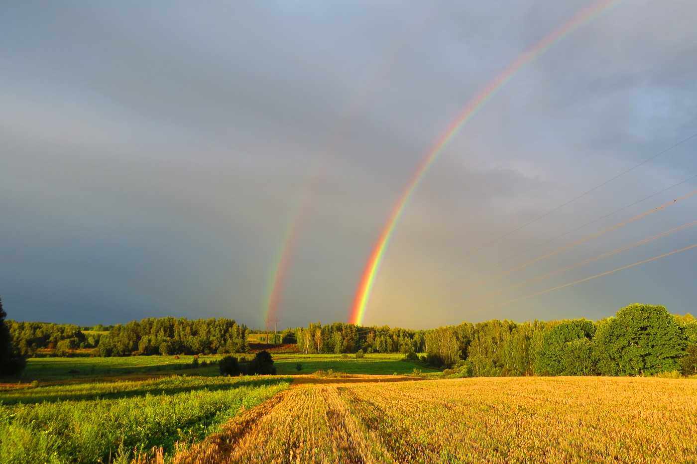 Народные приметы про радугу – какое будущее предвещает красивое природное явление