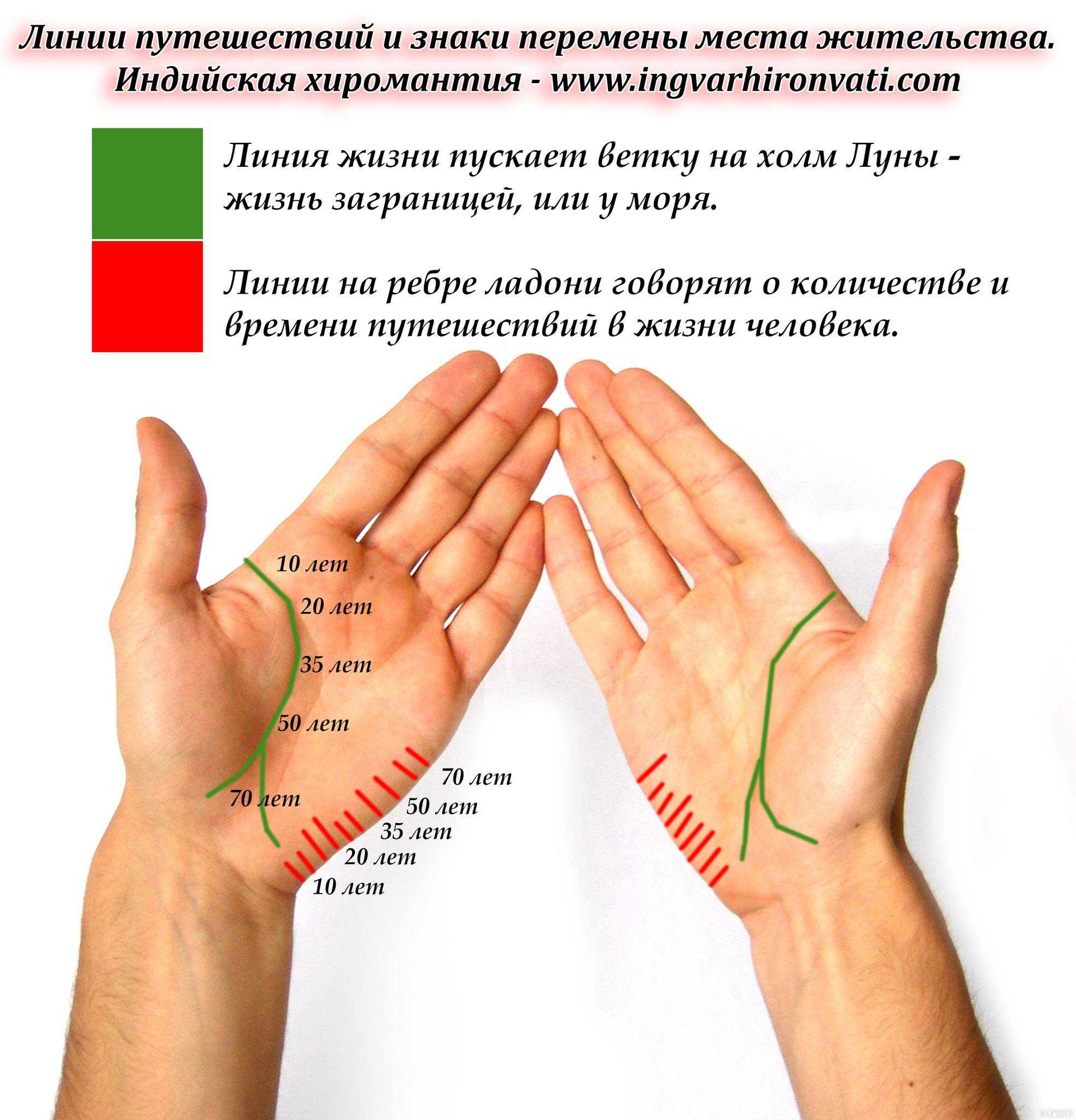Линия солнца на руке: знаки, расположение, поведение и полная расшифровка