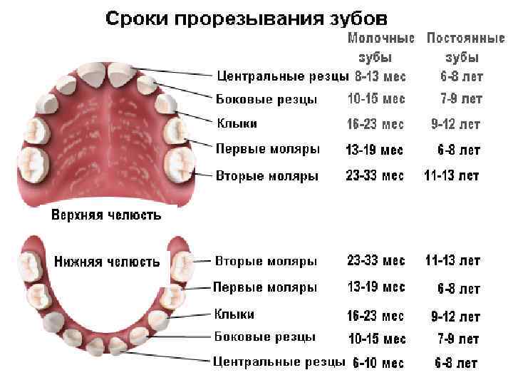 Приснилось выпадение зубов без крови, выпал один зуб, несколько или все, больной или здоровый зуб