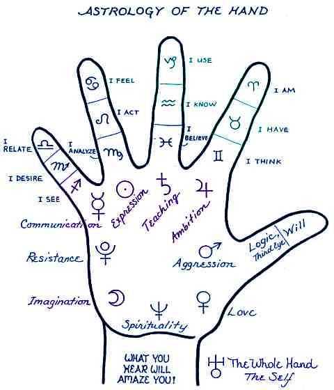 Характер по пальцам человека - как узнать по форме и длине
