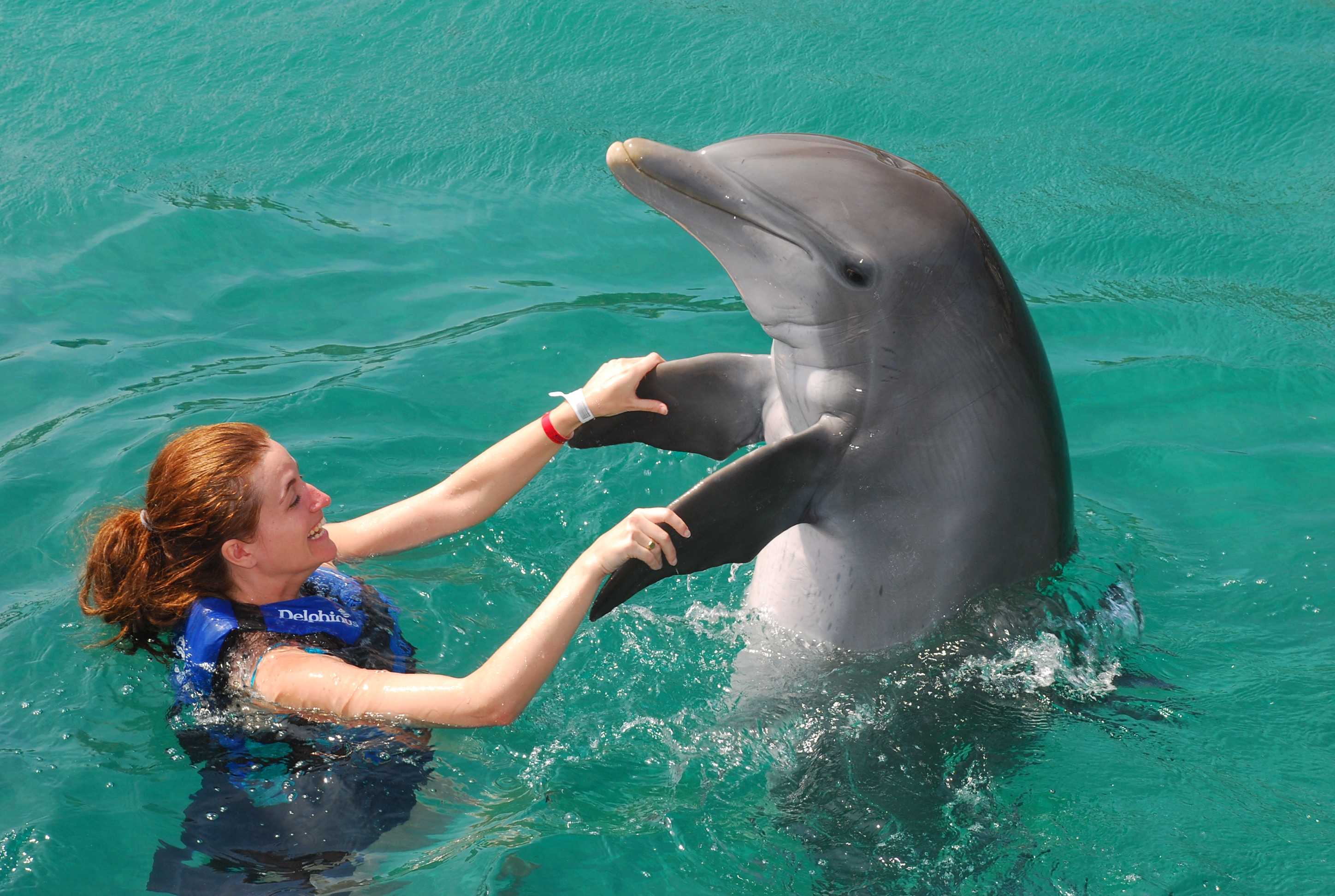Дельфины с удовольствием разучивают и выполняют разные. Плавание с дельфинами. Человек Дельфин. Дельфины и люди. Дельфинотерапия для детей.