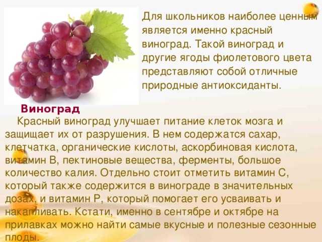 К чему снится виноград 🍇 во сне, сонник 🌙 - приснился виноградник, значение сна