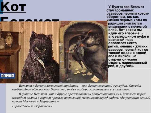Купить Воронеж Мягкая Игрушка Кот Бегемот Булгаковский