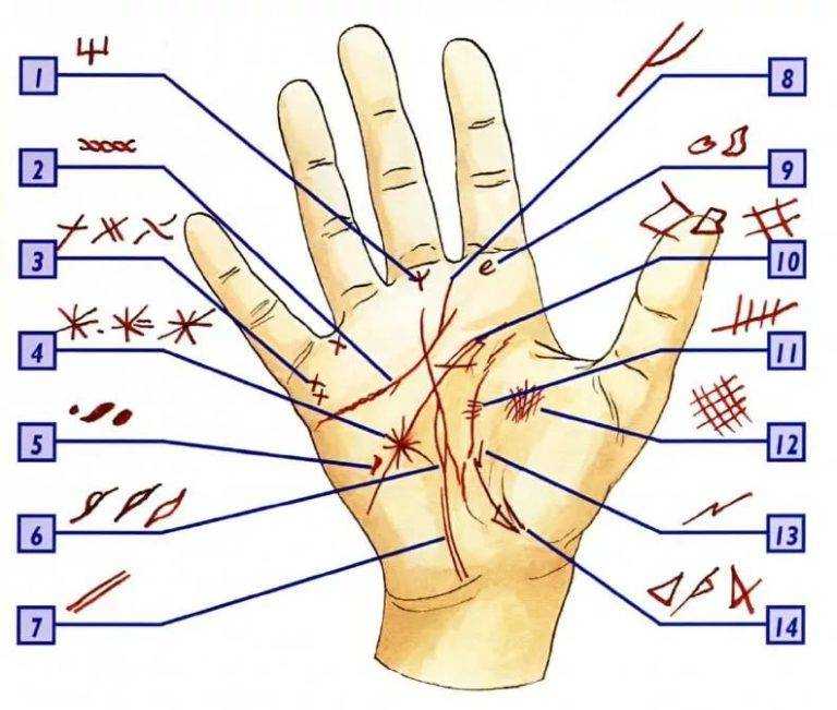 Линия жизни на руке - расшифровка, значения, описания (+ фото и видео)
