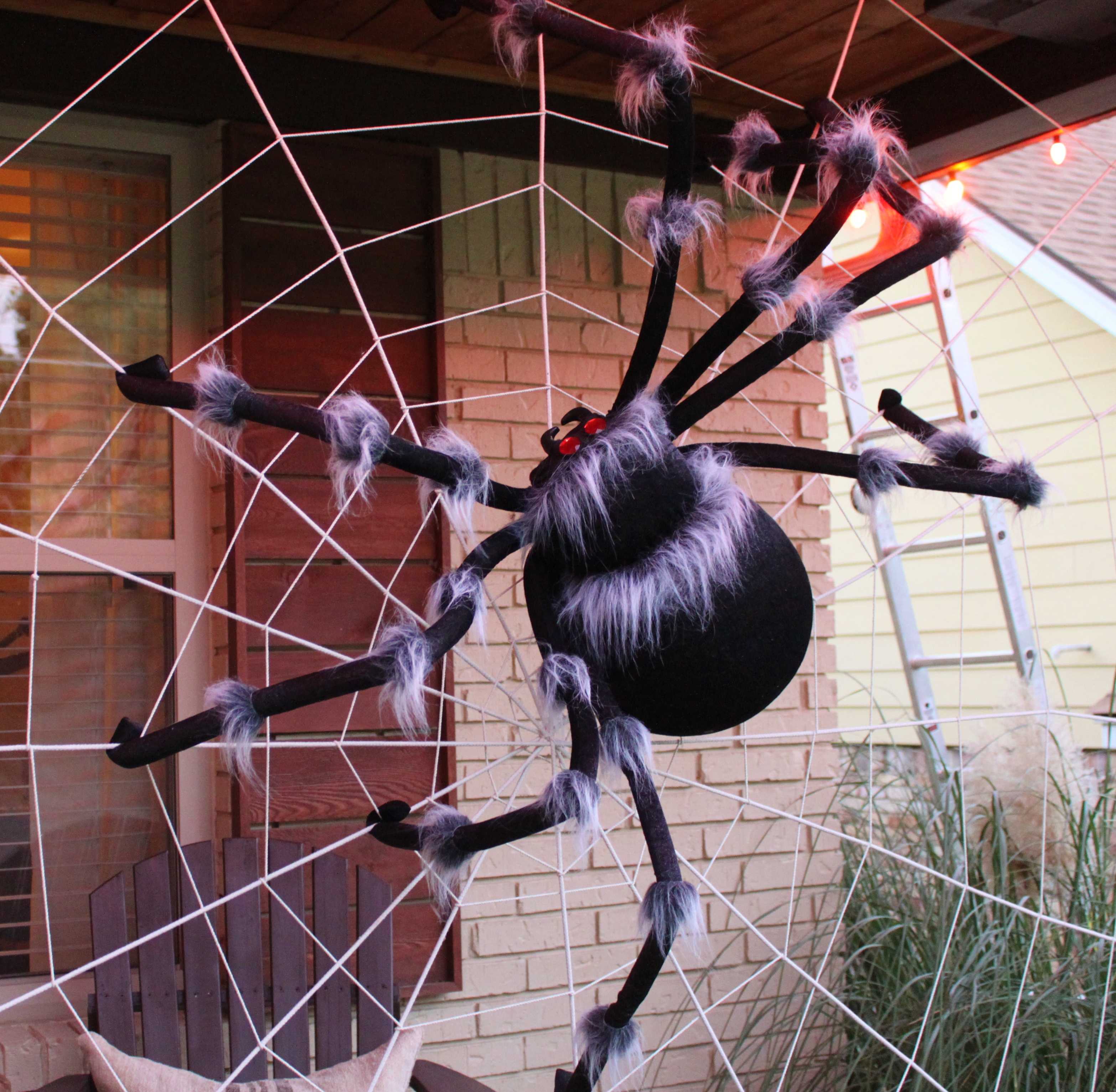 К чему снятся пауки: большие и маленькие, укус паука, огромный тарантул