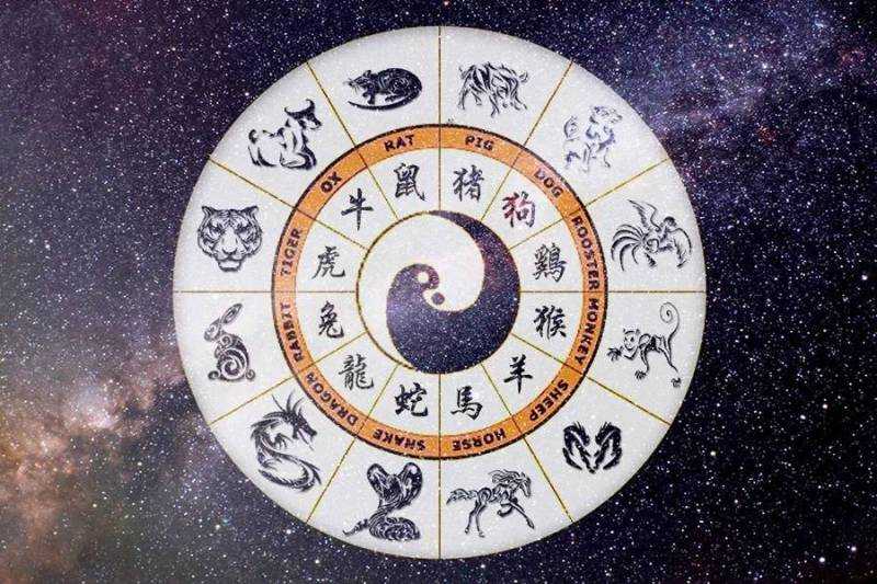 Таблица восточного календаря: черты характера человека в зависимости от года животного китайского гороскопа