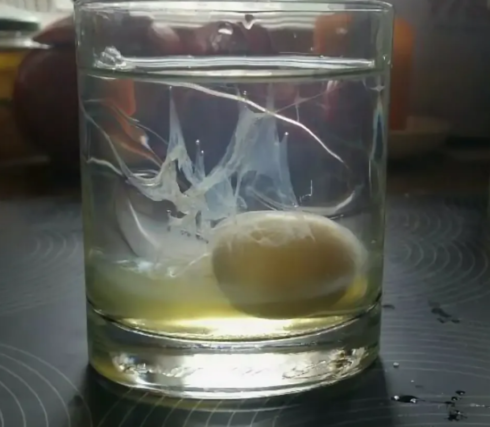 яйцо в стакане под кроватью