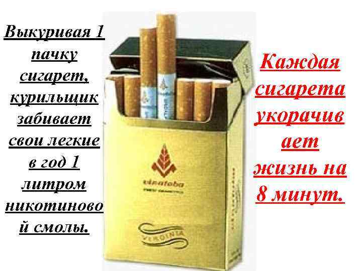 К чему снится курить сигарету во сне. Первые сигареты. Обезличенные пачки сигарет. Сигареты разные. Пачка сигарет курит.