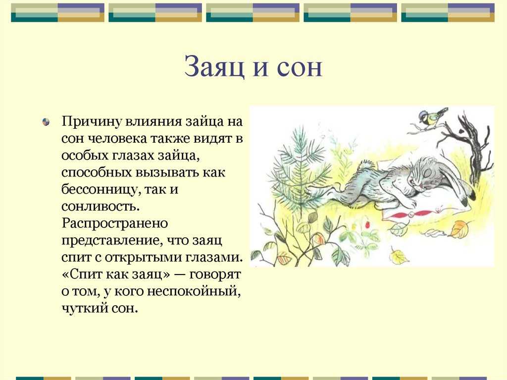 К чему снятся кролики женщине или мужчине?