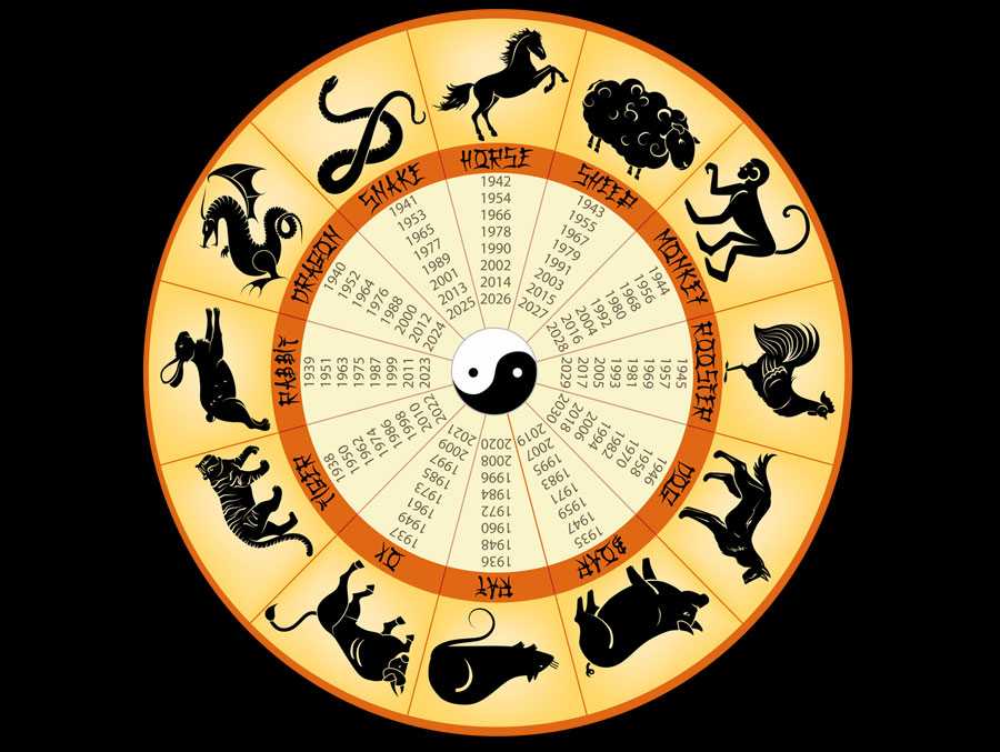Тотемный славянский гороскоп по годам: узнай свое тотемное животное!