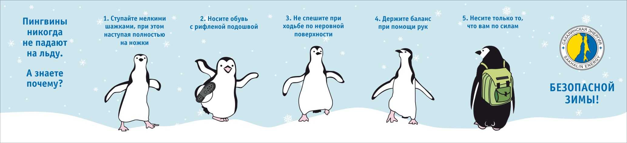 К чему снятся пингвины 🐧 — топ толкований сна ❗ по 42 сонникам: что означает для мужчины или женщины видеть маленьких летающих пингвинят и гладить их