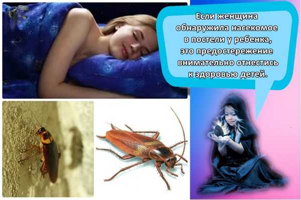 К чему снится  комар во сне — по 90 сонникам! если видишь во сне комар что значит?