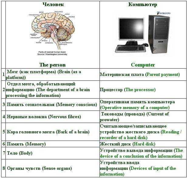 Чем отличается память человека от памяти животного. Сходства человека и компьютера. Человек и компьютер сходства и различия. Сравнение компьютера и мозга. Сравнительная характеристика человека и компьютера.