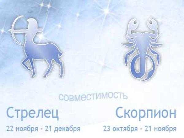 Мужчина скорпион женщина стрелец совместимость в любви, дружбе и постели | sovmestimi