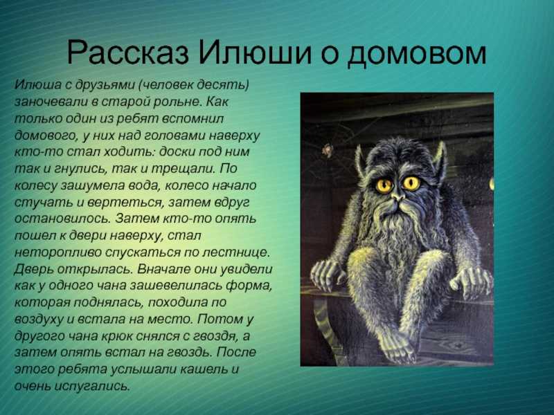 Как расшифровать сон о змее в доме — 32 значения сна