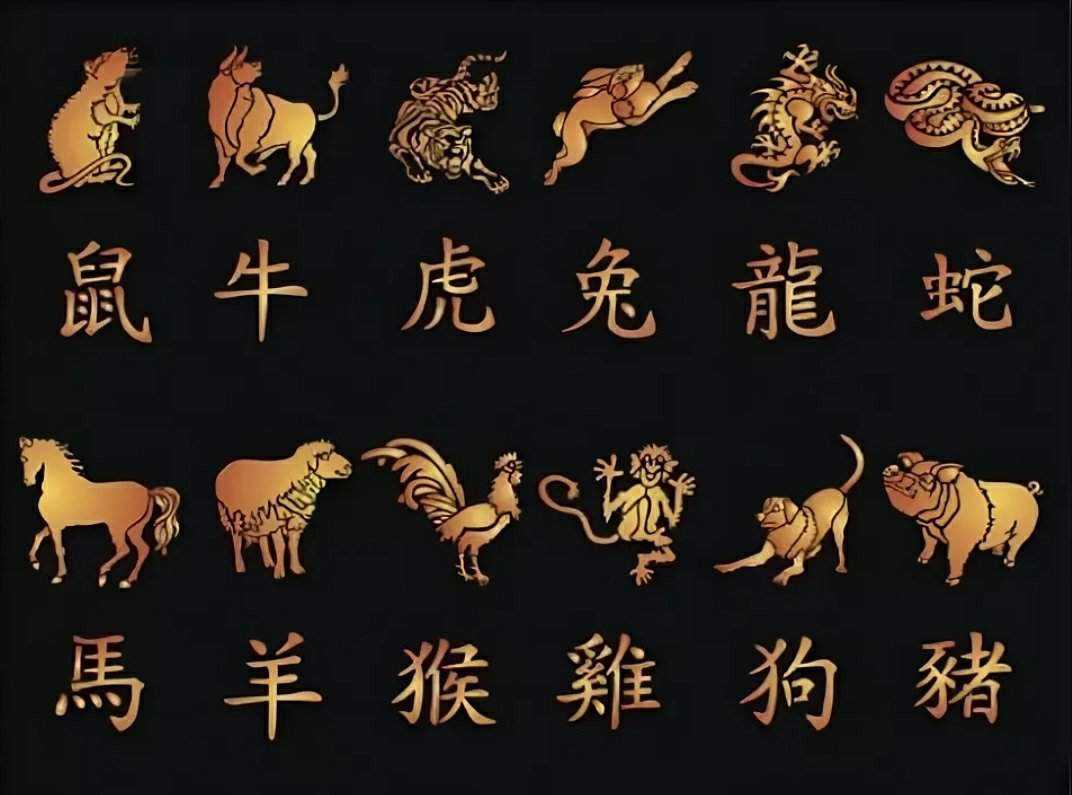 Китайский гороскоп по годом-год какого животного по восточному календарью|туроператор в китае|чайна хот тур