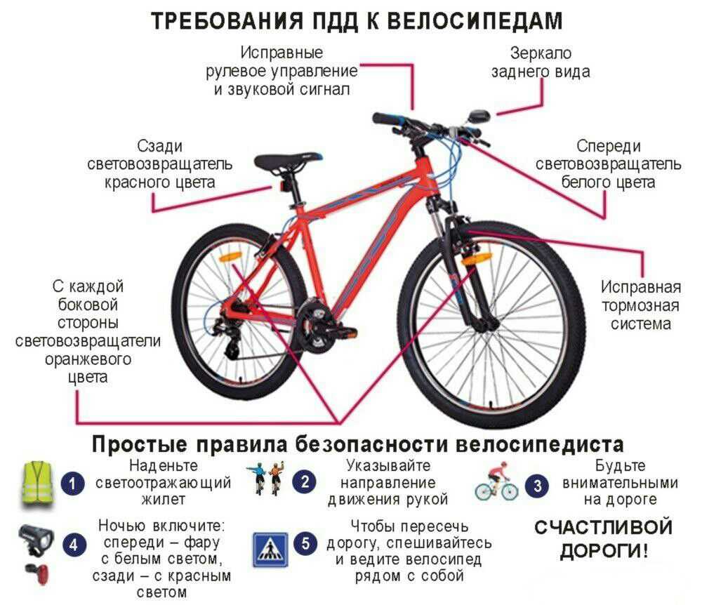Кататься на велосипеде во сне. упасть с велосипеда во сне. толкование снов :: syl.ru