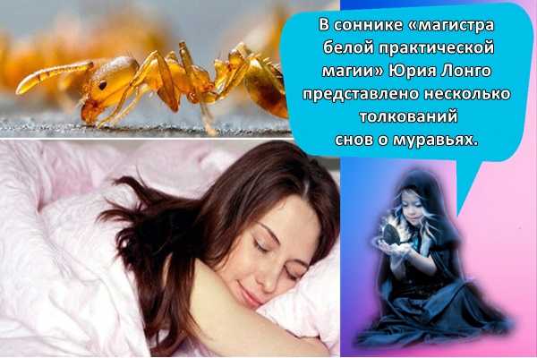 Смеяться во сне к чему это. Увидеть во сне много муравьёв. Муравьи во сне к чему снится женщине. Видеть во сне муравьев много. Смеяться во сне к чему.