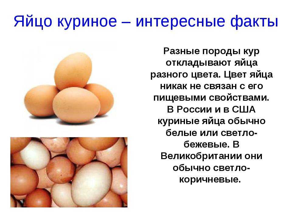 К чему снятся яйца куриные?