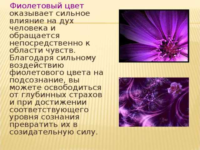 В цвету значение. Влияние фиолетового цвета на человека. Фиолетовый цвет в психологии. Влияние фиолетового цвета на настроение человека. Фиолетовый цвет значение и влияние на человека.