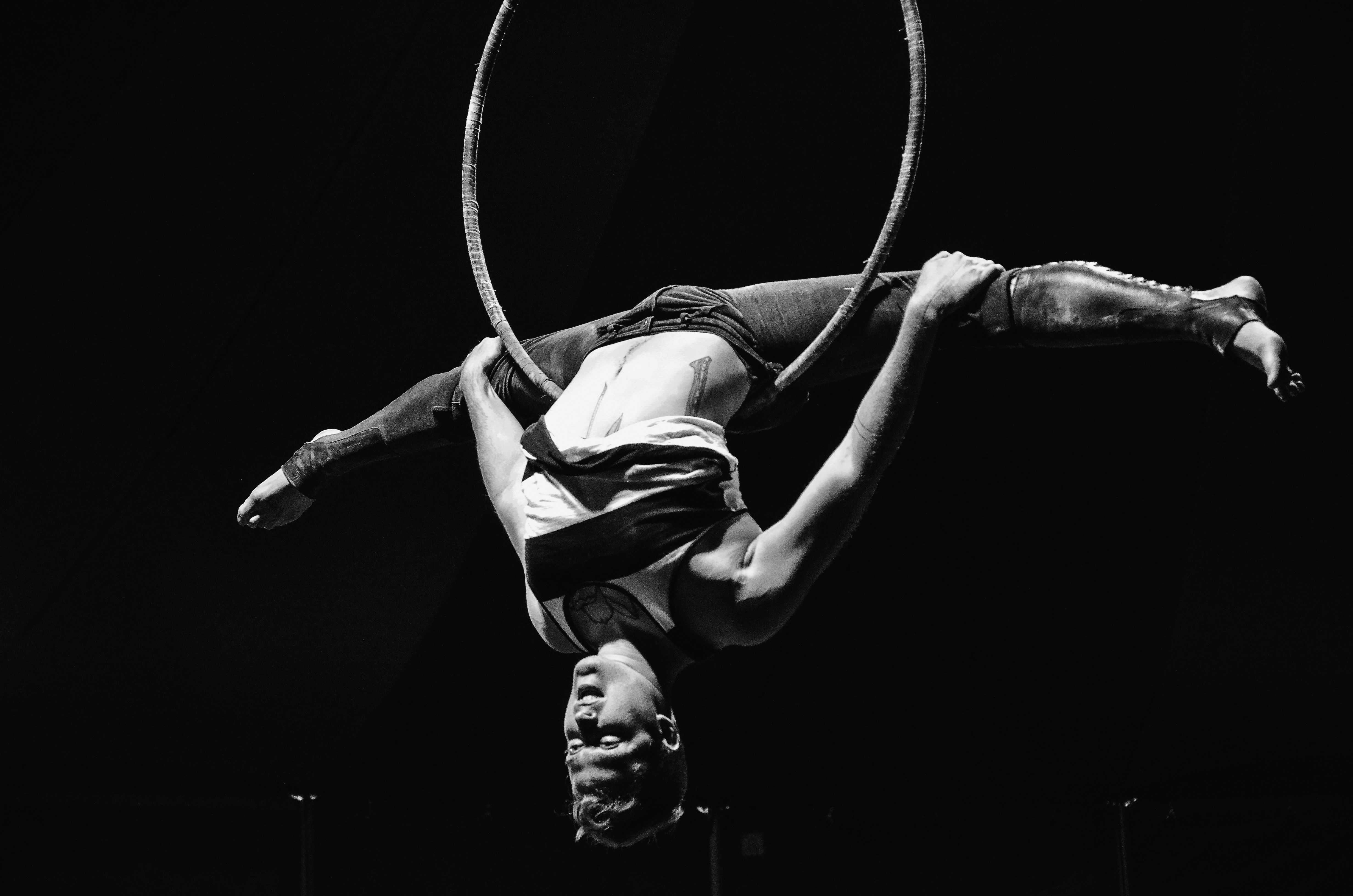 Сонник цирк | гороскопы 365