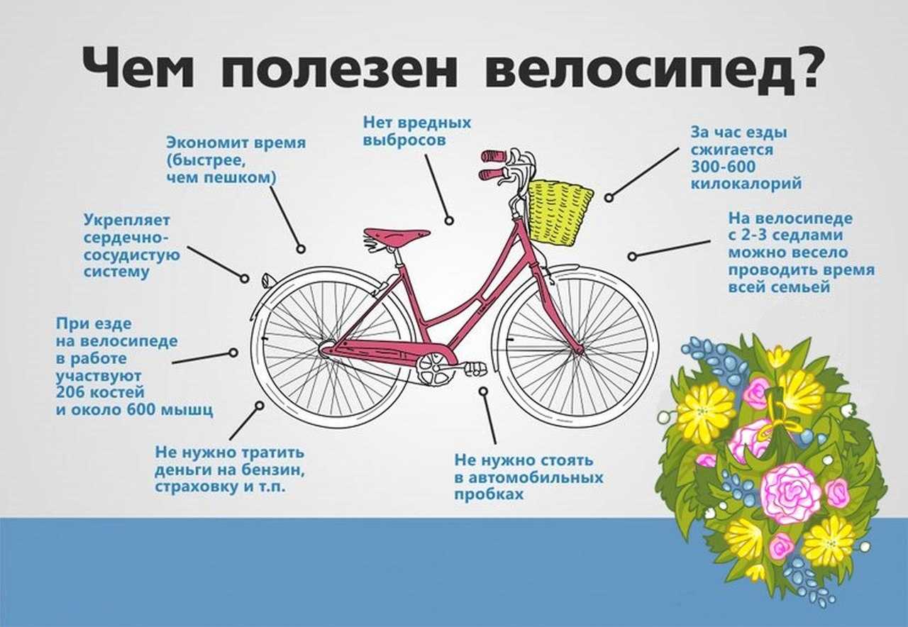 «велосипед к чему снится во сне? если видишь во сне велосипед, что значит?»