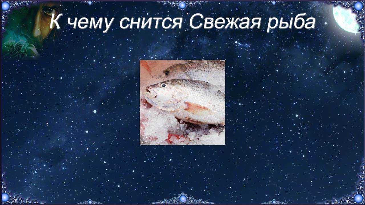 К чему снится соленая рыба: селедка, тюлька, красная, с икрой, сонник
