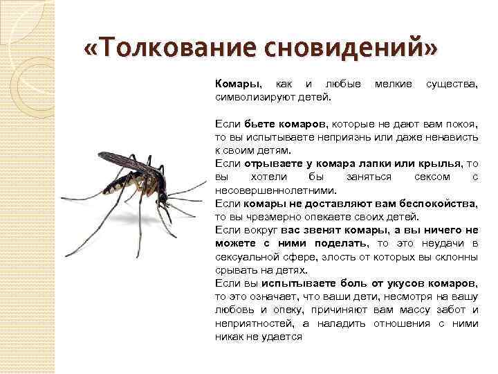 Образ комара подсознательно ассоциируется с образом вампира, кровопийцы Комаров и тараканов не любят, от них пытаются избавиться К чему снятся комары в