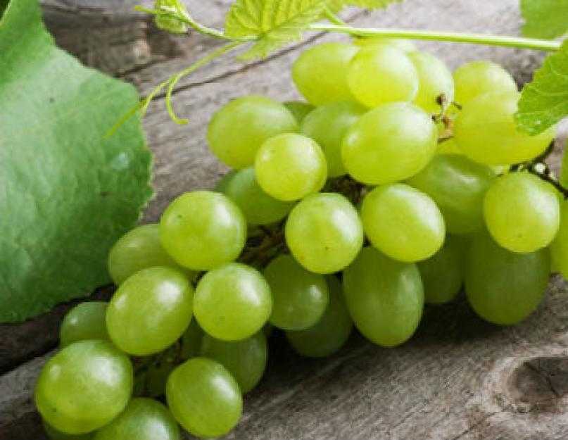 К чему снится виноград женщине: кушать, собирать, зеленый, белый, черный