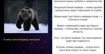 Сонник: бурый медведь к чему снится бурый медведь во сне приснился