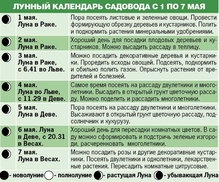 26 лунный день. двадцать шестые лунные сутки. день очищения и освобождения