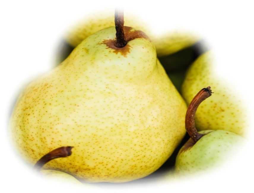 Приснились яблоки — толкование по сонникам