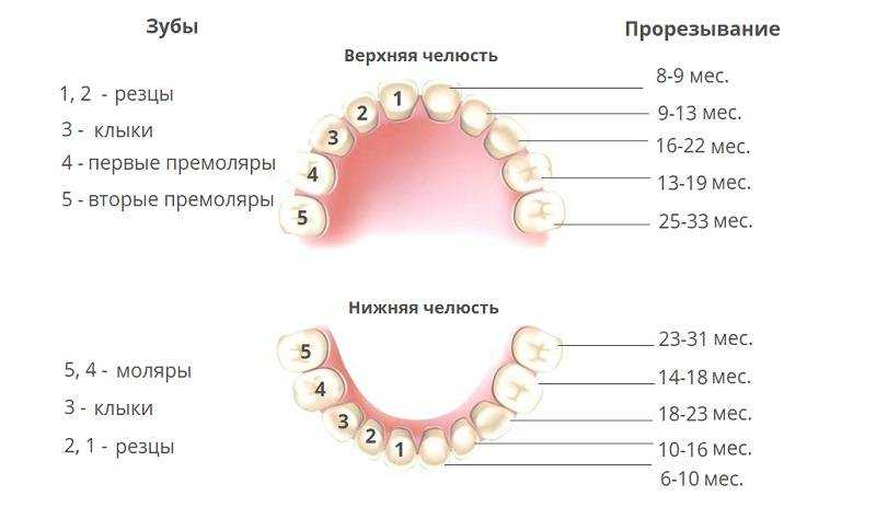 К чему снятся выпавшие зубы