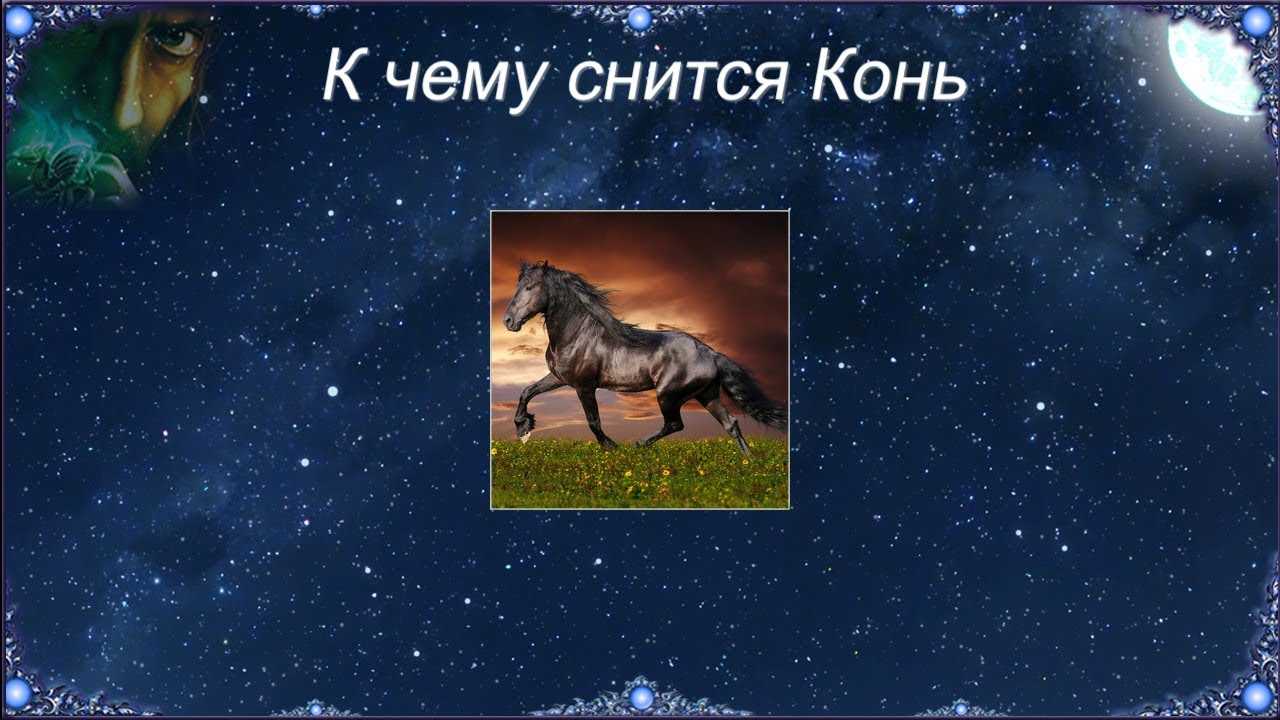 Видеть во сне лошадь: что означает?