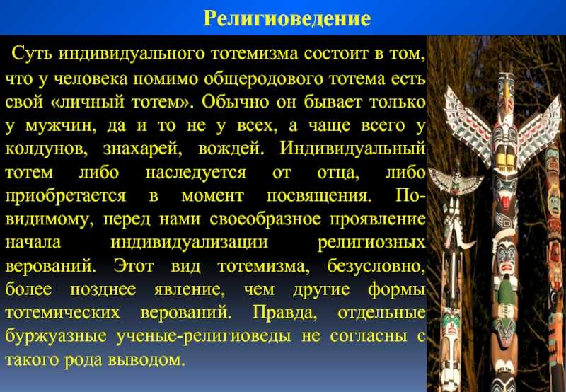 К чему снятся мертвые кошки или много убитых котят, трактовки сна по соннику, возможные варианты