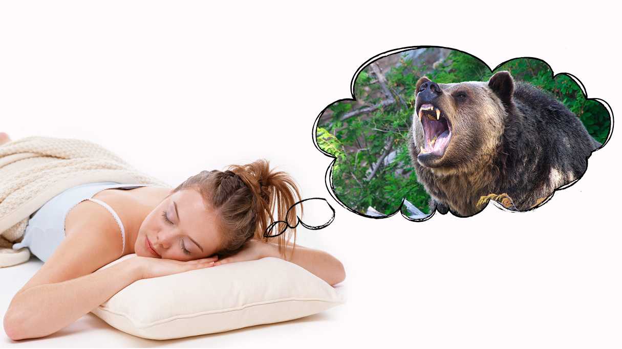 Убегать от медведя во сне - значение для человека