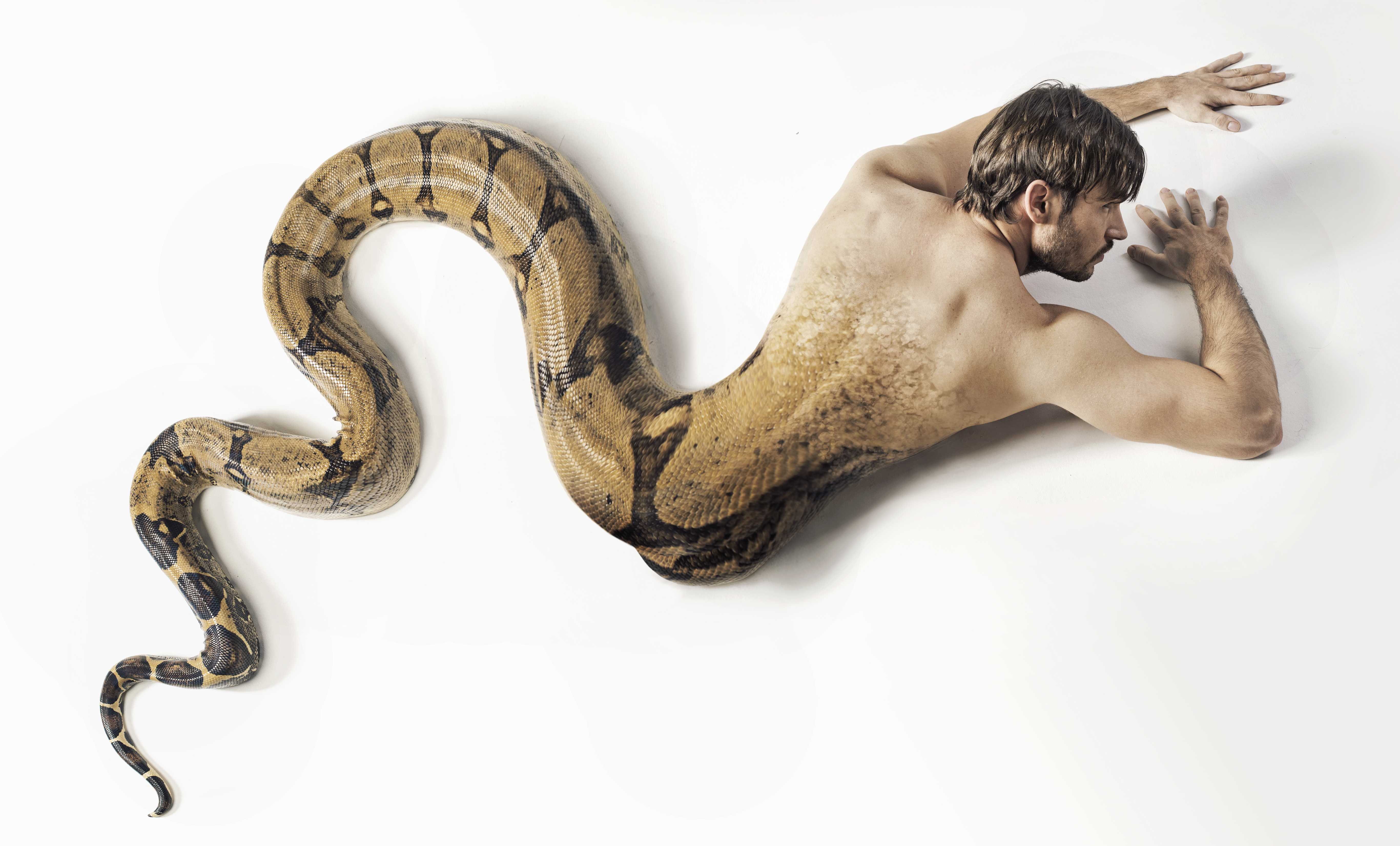 К чему снится белая змея 🐍 - топ-38 толкований ❗ по сонникам: что значит во сне видеть, как большая или маленькая кобра атакует и укусила женщину или мужчину