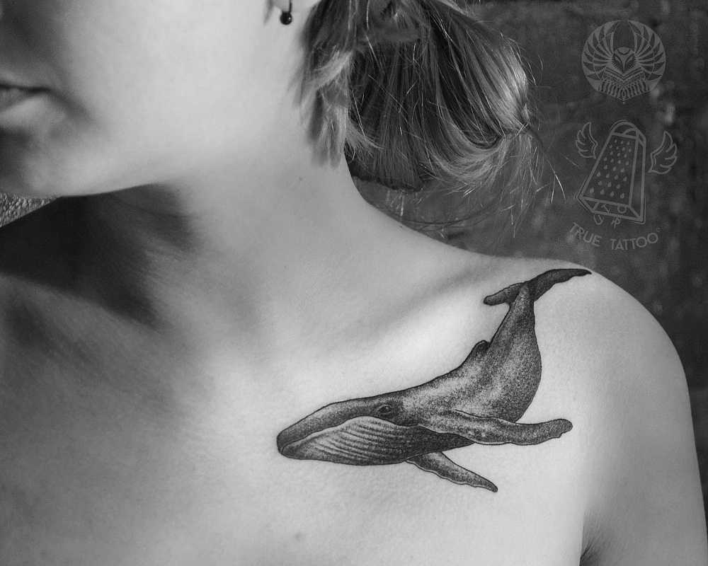 Тату кит (81 фото) - значение, эскизы татуировки с китом на руке, ключице, ребрах