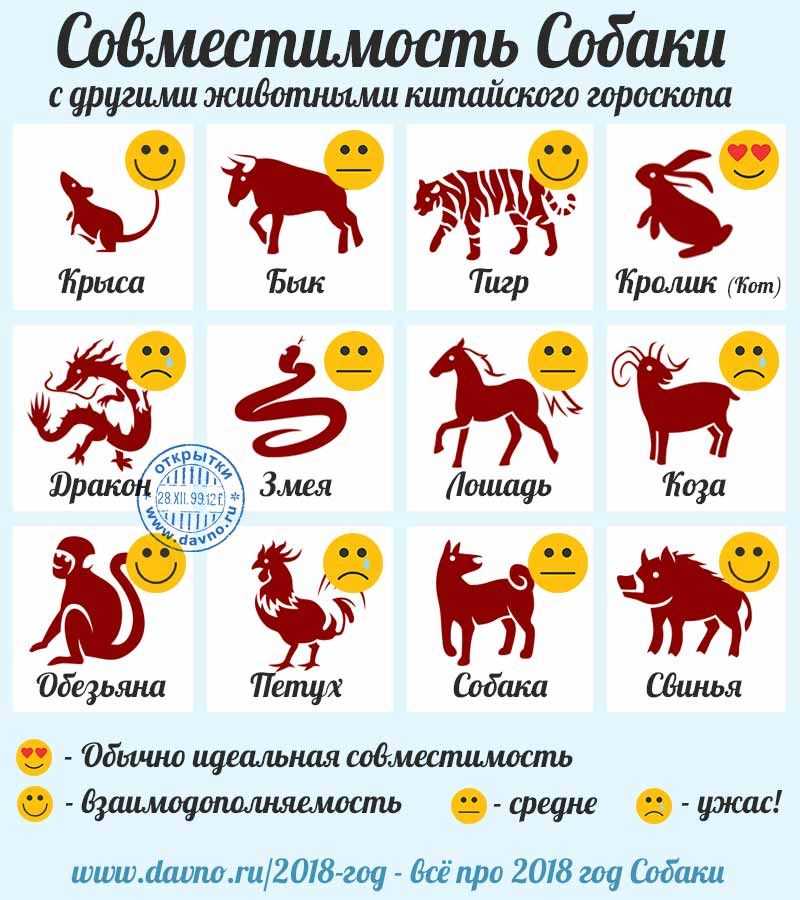 Китайский зодиак | 12 знаков животных и их значения