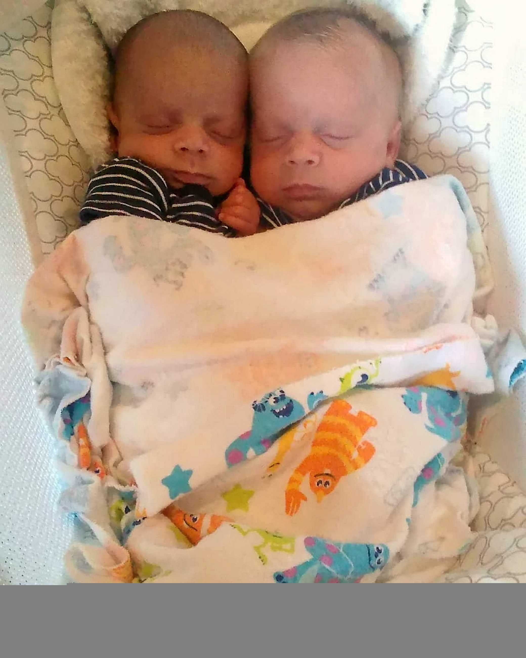 В роду есть близнецы. Двойняшки. Родились двойняшки. Разнополая двойня.
