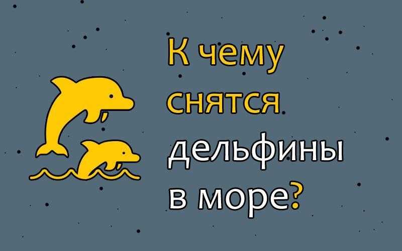 К чему снятся дельфины по соннику, увидеть во сне дельфина, знак
