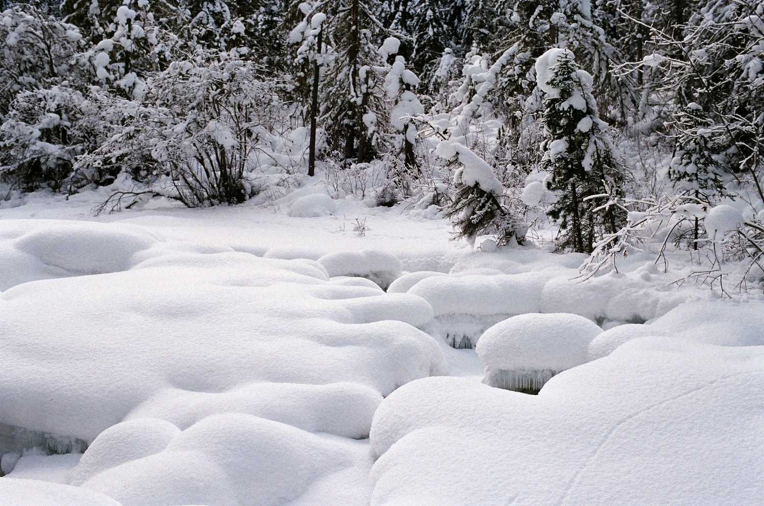 К чему снится снег: белый и чистый, грязный, сугробы и много снега во сне — толкование