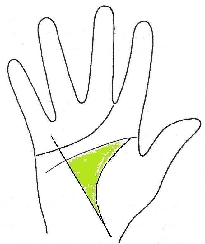 Значение фигуры треугольника на линиях ладоней